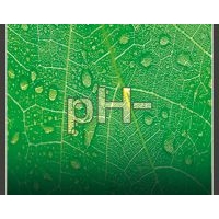 Correttore pH- 1L Correttore pH- 1L