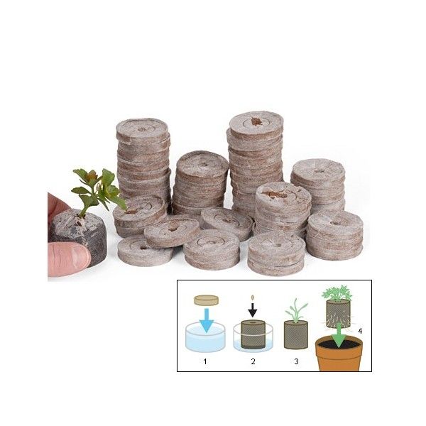 Come Germinare con dischetti JIFFY | Giuda alla germinazione con dischetti di torba Jiffy