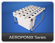 Aeroponica