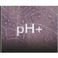 Correttore pH+ 1L