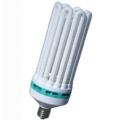 Compact FLUO 300W Rossa - 2700°K