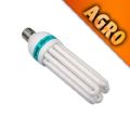 Compact FLUO 125W Agro