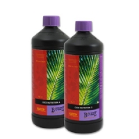 Atami B cuzz COCO A+B 2x1L
