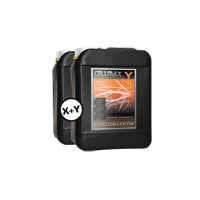 CellMax Coco Bloom 2x5L