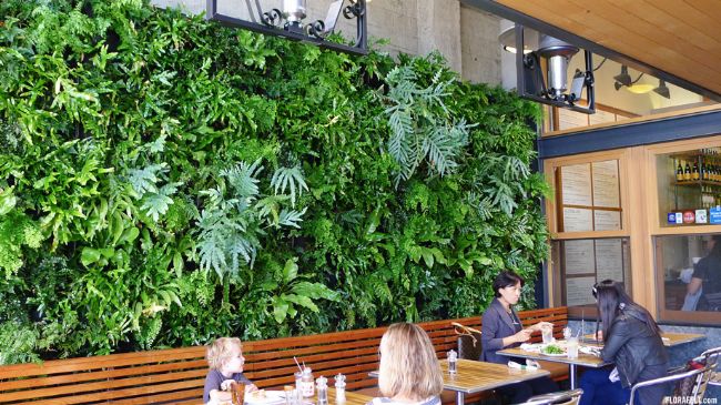 Verde verticale 12 tasche giardino pensile Contenitori per giardini pensili