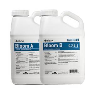 Athena - Bloom A + B - 2x3,78L