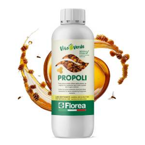 Florea - Propoli 500gr Uso botanico