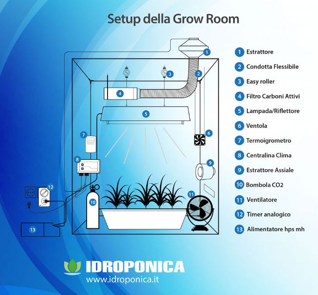Coltivazione Indoor: guida completa