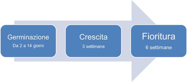 1. Cosa mi serve per iniziare la coltivazione Indoor
