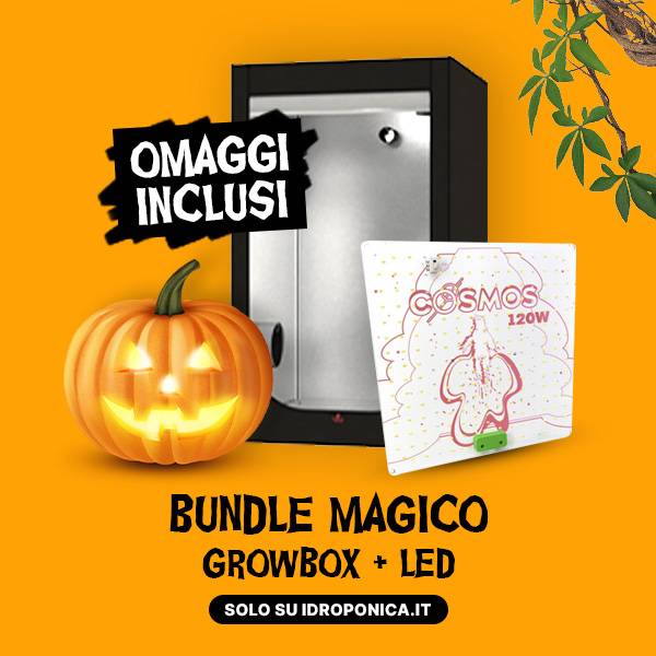 Bungle Magico di HAlloween Idroponica.it