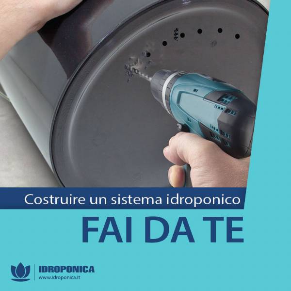 Coltivazione Idroponica Fai da Te in Casa: Sistemi per Colture