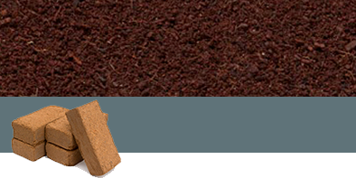 Perlite E Substrati Idroponica Perlite Per Piante Per