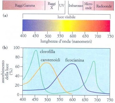 Lo Spettro della Luce Solare Lo Spettro della Luce Solare