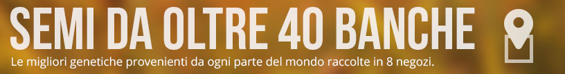 Trova il negozio più vicino a te