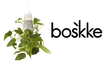 Boskke