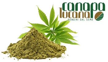 Canapa Lucana