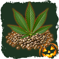 Grinder in offerta di halloween