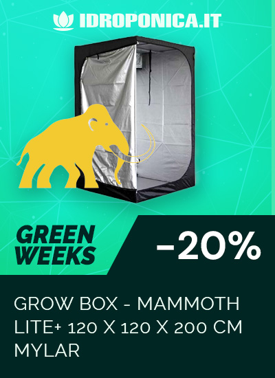 Mammoth Lite 120 + Grow Box Indoor