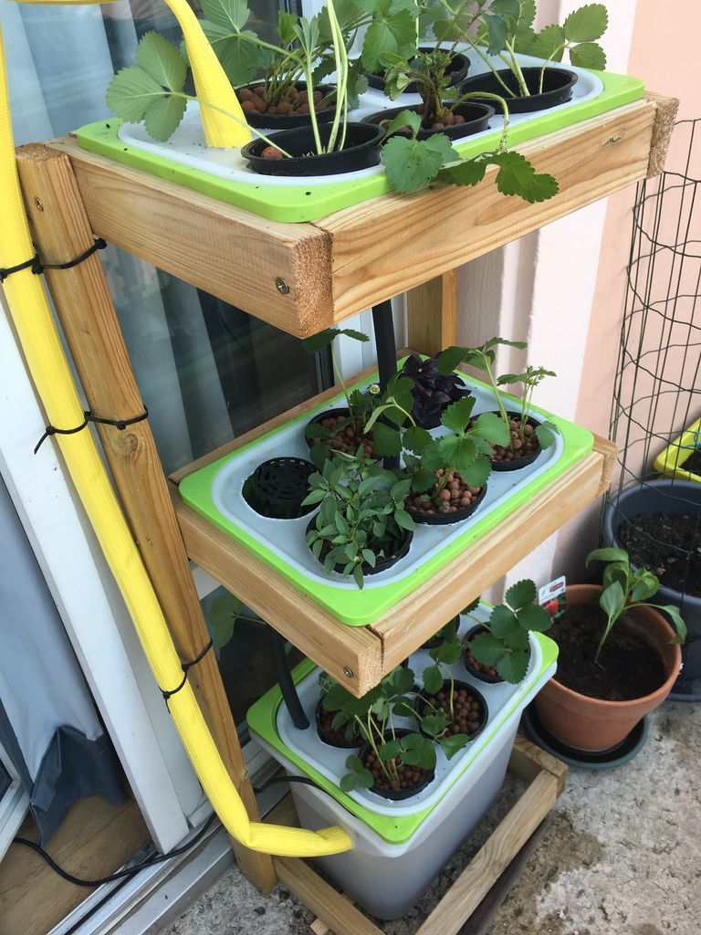 Giradino Idroponico in Balcone