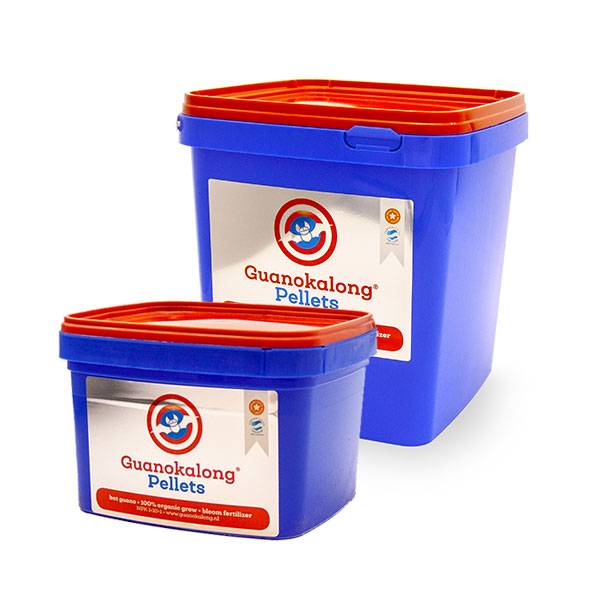 Guano Kalong Di Pipistrello pellets guano-kalong-di-pipistrello-pellets