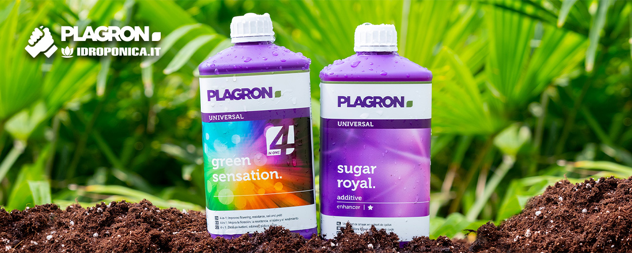 Plagron Sponsor Idroponica