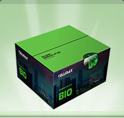 Bio