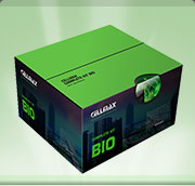 Bio