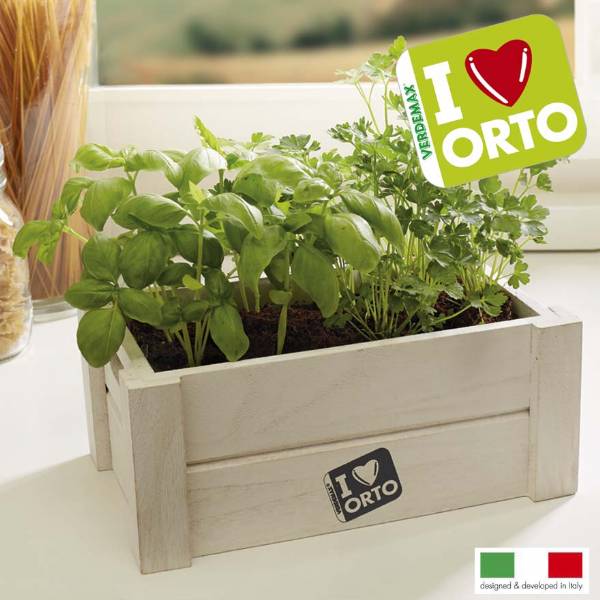 Kit coltivazione easyorto di verdemax basilico e prezzemolo Basilico coltivazione in vaso