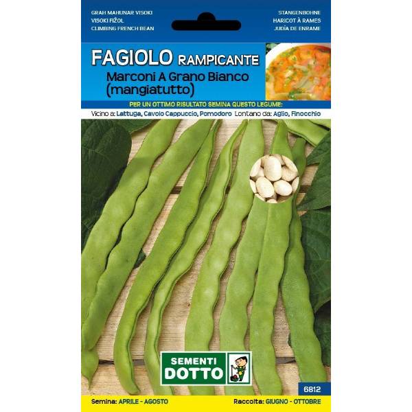 SEMI DI FAGIOLO RAMPICANTE LIMA O DEL PAPA GR. 250