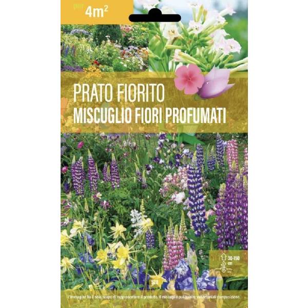 Mix Semi Prato Fiorito Api Profumato Senza Erba UK 2000 Semi Di Fiori Selvatici Per Prato, Senza Erba, Attira Api, Profumato, Confezione Zip Semi Per Prato - Foto 3
