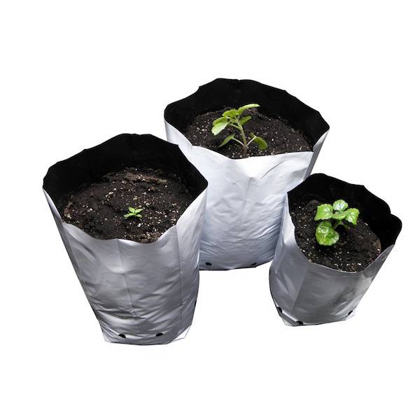 Vaso Pieghevole Per Piante Da Balcone 32x28 Cm - Plastica Robusta, Con Manici, Salvaspazio, Colore Tortora - 3